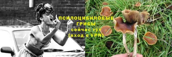 ALPHA PVP Михайловка