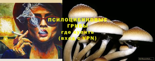 крисы Михайлов